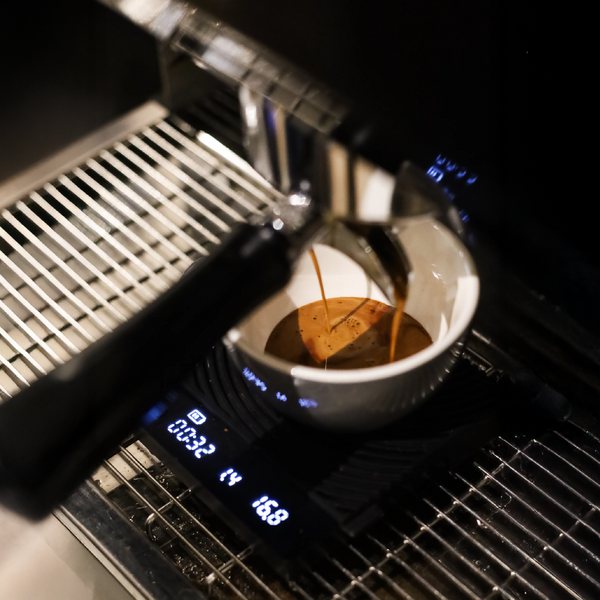 Acme Latte cup 280ml - Truth Coffee Roasting ZA