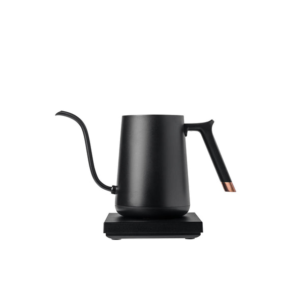 Fish Smart Electric Pour Over Kettle