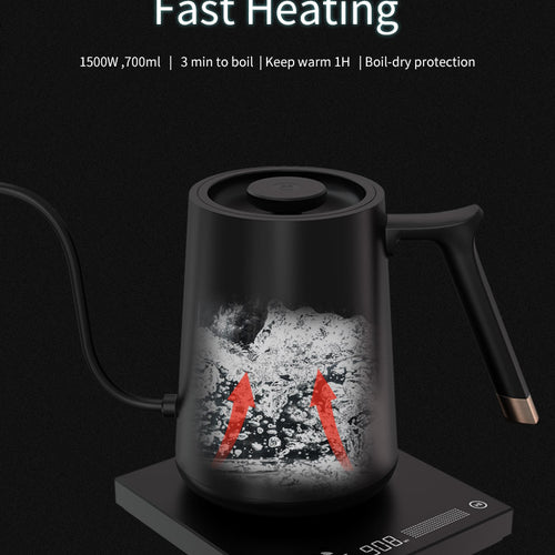 Fish Smart Electric Pour Over Kettle